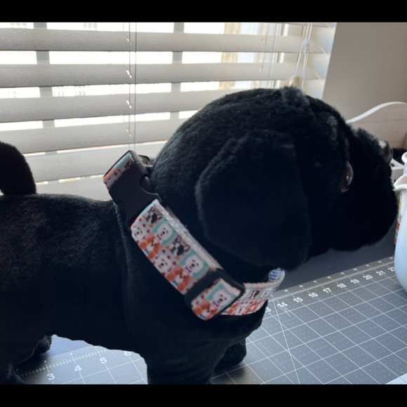 Custom Dog Collar - Picture 6 of 8